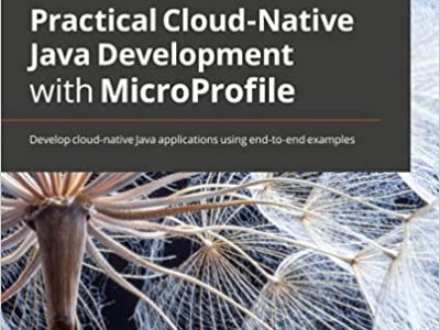 Book Excerpt: Real World Jakarta REST&nbsp;Example