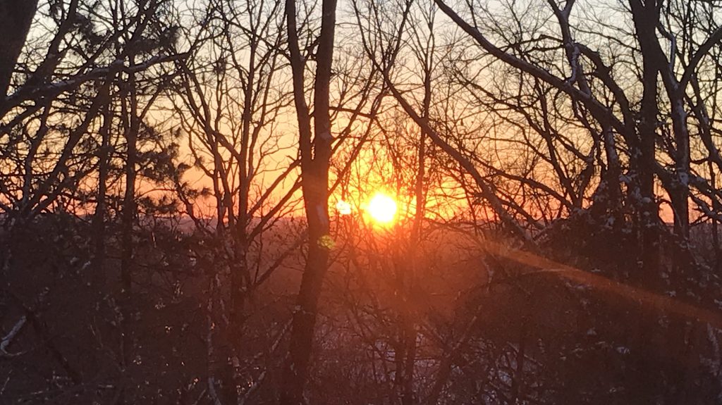 Sunset at Grey Haven
Single Album Photo